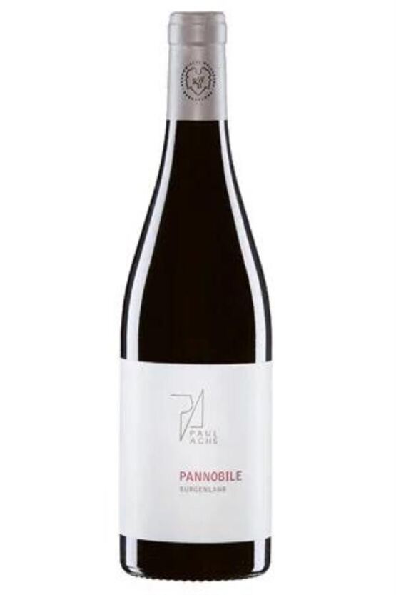 2017 Pannobile