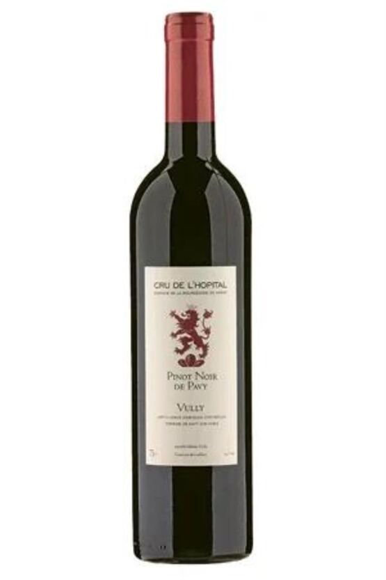 2022 Pinot Noir de Pavy