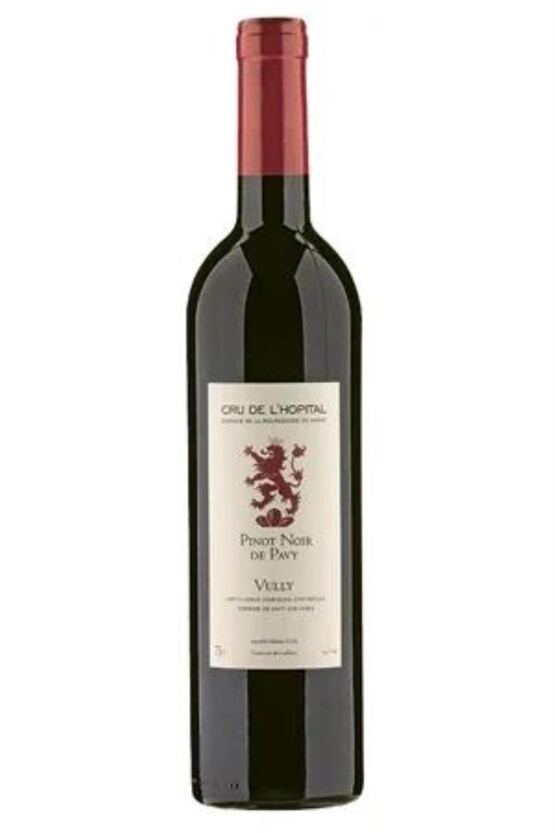 2022 Pinot Noir de Pavy