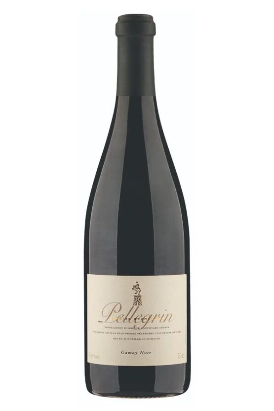 2025 Pinot Gamay