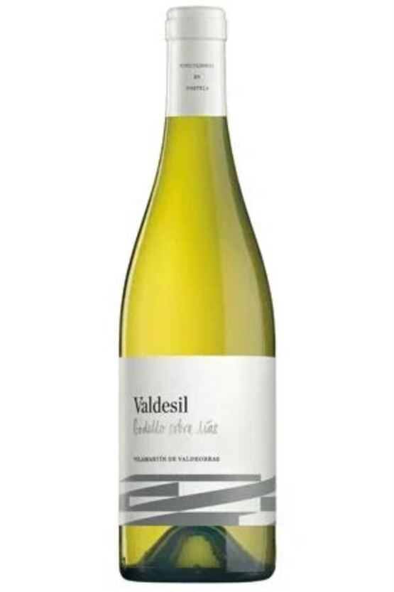 2022 Val de Sil Godello