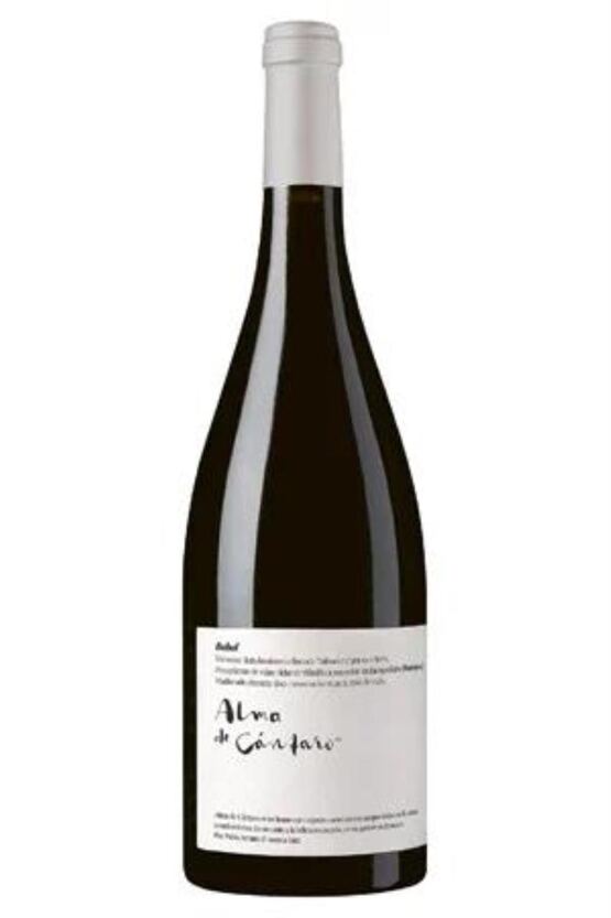 2022 Alma de Cántaro Bobal
