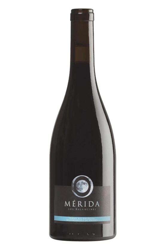 2019 Mérida