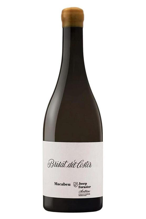 2023 Brisat del Coster