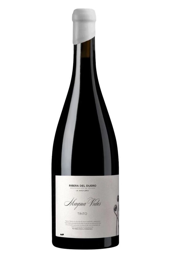 2023 Magna Vides Tinto