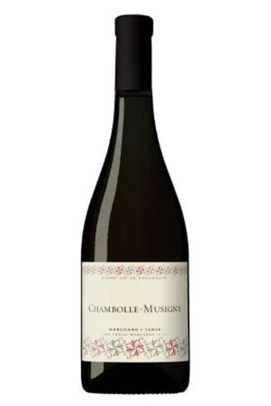 2021 Chambolle-Musigny