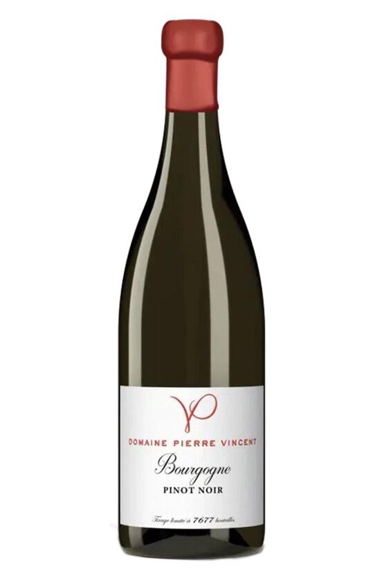 2023 Bourgogne Pinot Noir