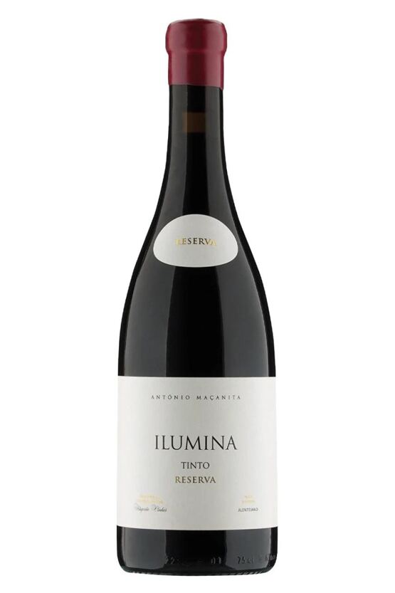 2022 Ilumina Reserva Tinto