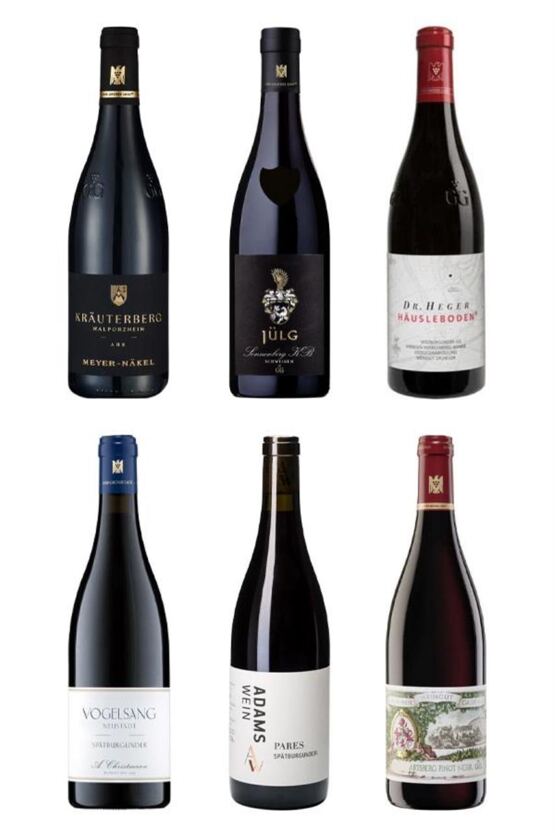 Top-Pinots aus Deutschland