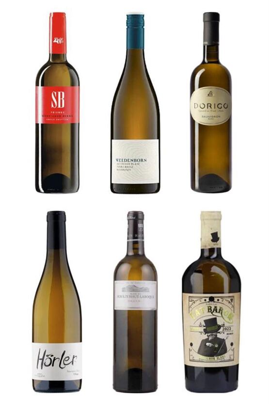 6 Sauvignon Blanc aus 6 Ländern