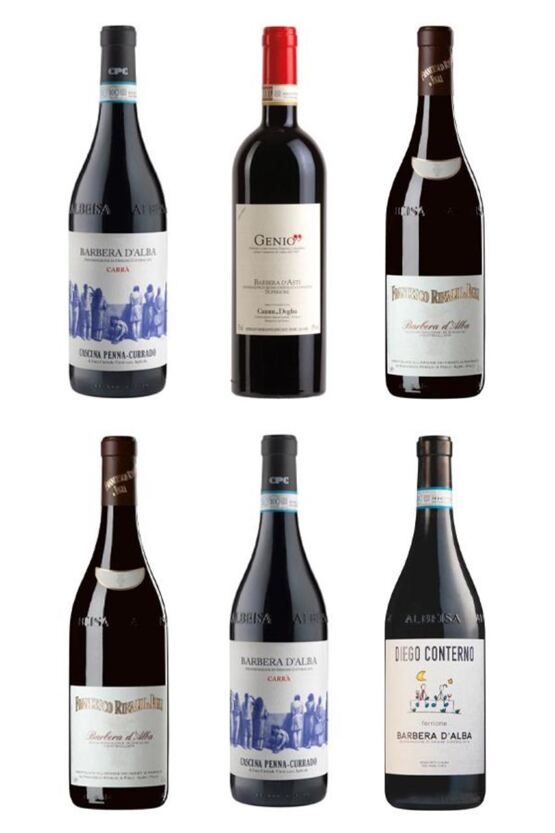 Eine Reise durch die Barbera Welt