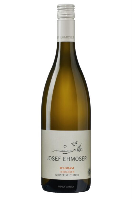 2021 Wagram Terrassen  - Grüner Veltliner