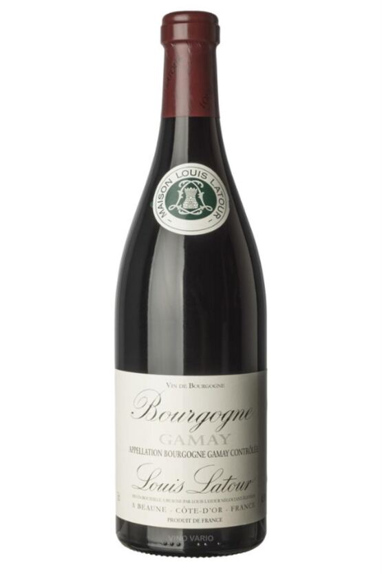 2023 Bourgogne Gamay