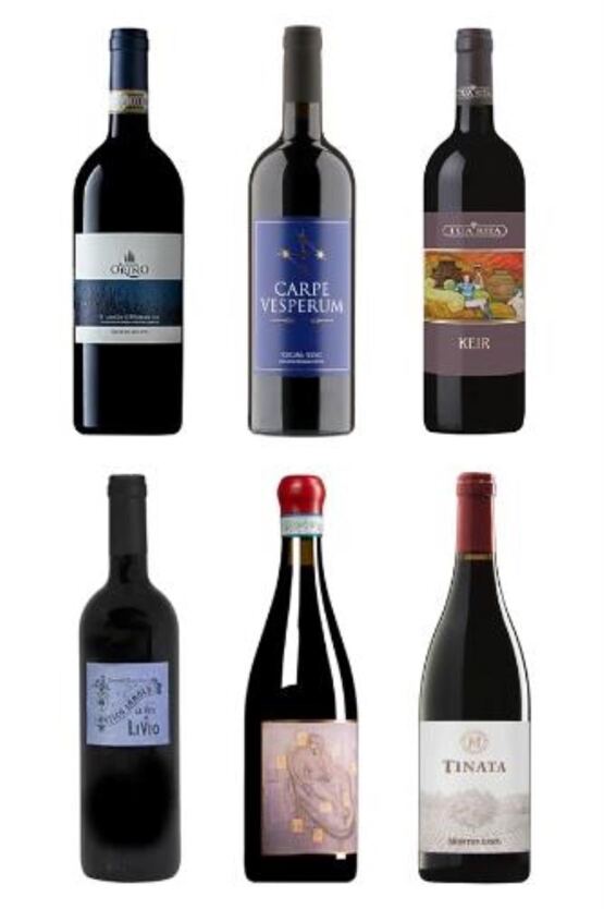 Die grossen Weine der Toscana