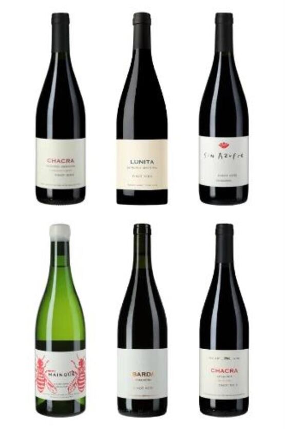 Degustations-Box Argentinien