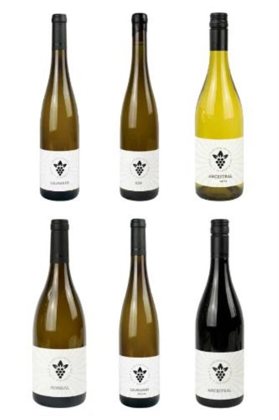 Weingut Karsten Peter - Grossartiges Terroir und berühmte Lagen mit Weltruf