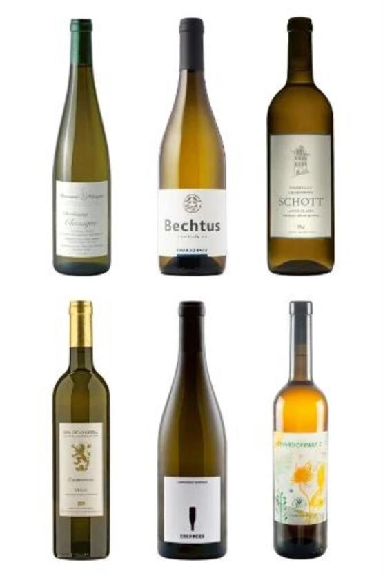 6 verschiedene Chardonnay aus 6 verschiedenen Gebieten aus der Schweiz
