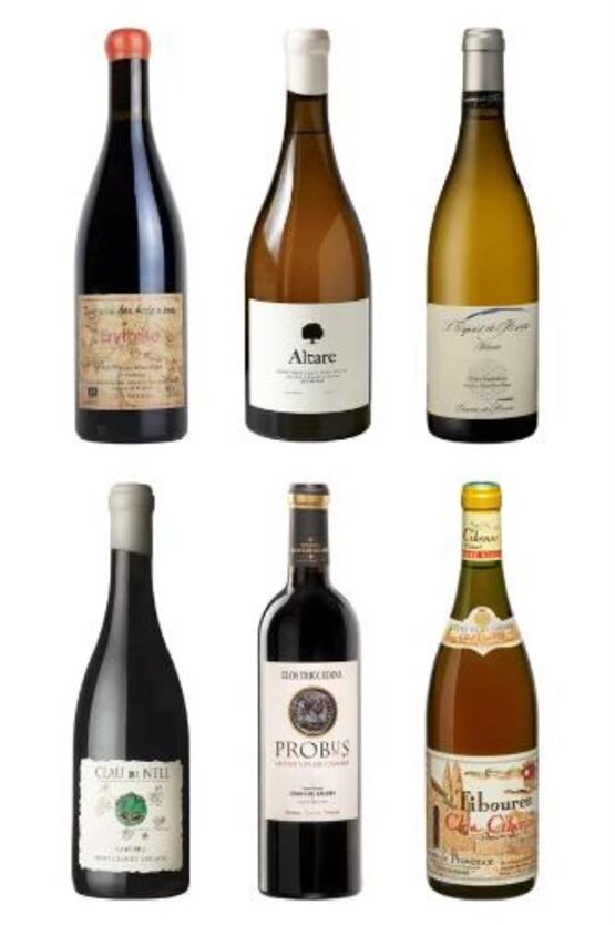 Tour de France - Spannende Weinregionen zum Entdecker-Preis