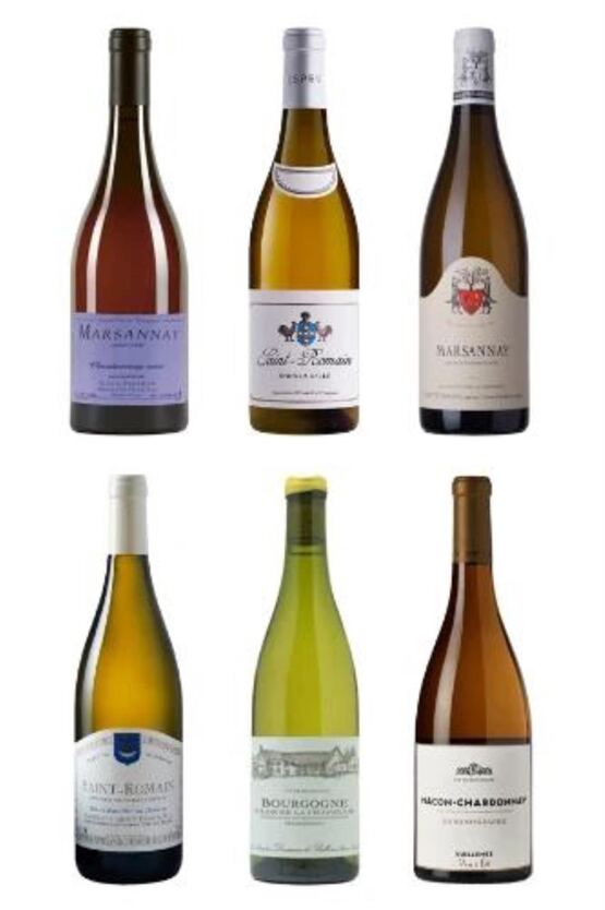 Faszination weisses Burgund
