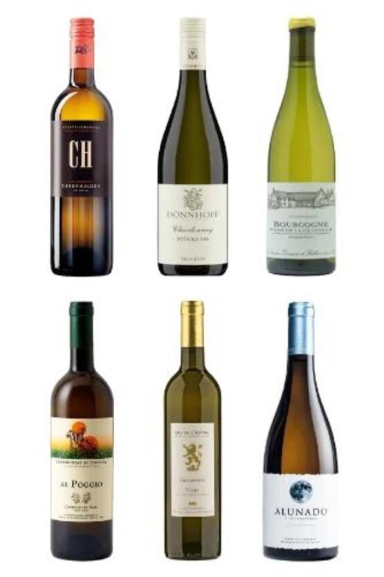 6 Chardonnays aus 6 verschiedenen Ländern